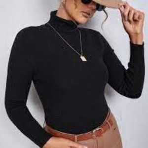 SHEIN Essnce Plus Turtleneck Ribbed Knit Sweater